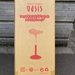 スクワット　シェイプの画像