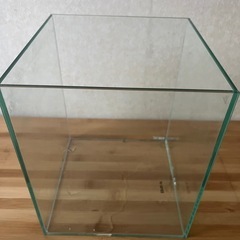 ガラス水槽の画像