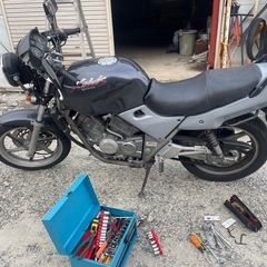 ホンダ ゼルビス 
250cc  
