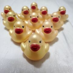 金色アヒルちゃん11体セット🐥新品未使用／クレーンゲーム景品／お...