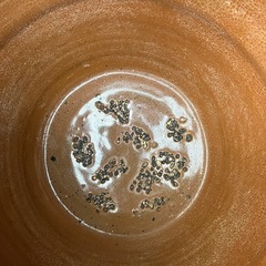 壺の画像
