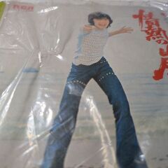 （中古EPレコード）情熱の嵐−西城秀樹（2）