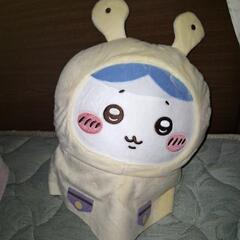 ハチワレ　雨の日ぬいぐるみの画像