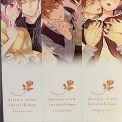 だったら俺に惚れてしまえ コレクターズエディション全巻の画像
