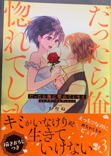 だったら俺に惚れてしまえ コレクターズエディション全巻