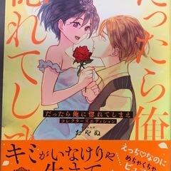だったら俺に惚れてしまえ コレクターズエディション全巻の画像