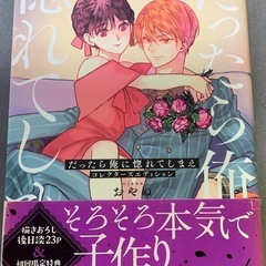 だったら俺に惚れてしまえ コレクターズエディション全巻の画像