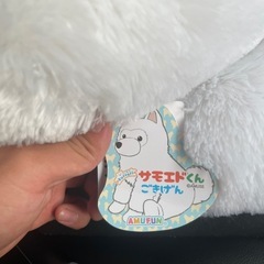 サモエドくんごきげんの画像