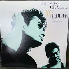 (中古LPレコード)WILD LIFE‐織田哲郎(5)