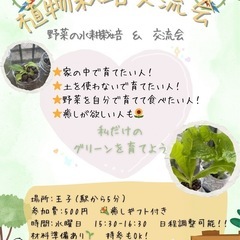 野菜を一緒に栽培しませんか？🥬