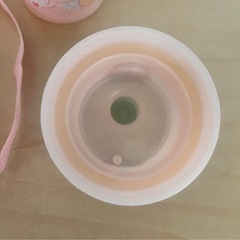プリンセス 直飲みプラボトル水筒 480mlの画像