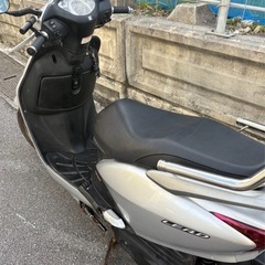 リード