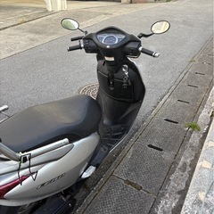 リードの画像