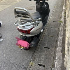 リードの画像