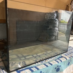 水槽