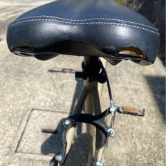 トレーディアの画像