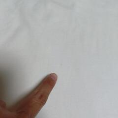 オーバサイズTシャツ　Tシャツワンピースの画像