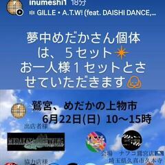 鷲宮、めだかの上物市　メダカ　❇️　イベント
