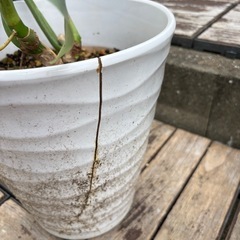 シルバーメタル 鉢ごとの画像