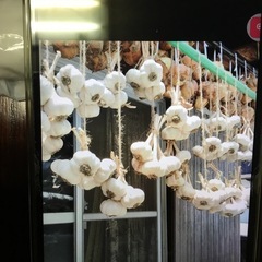 早い者勝ち にんにくの画像