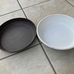 プラスティック鉢 中小9個 と 鉢皿 2個をお譲りしますの画像