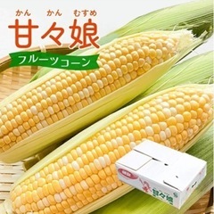 世界一甘いトウモロコシと甘々娘のヤングコーンと夏野菜