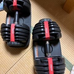 可変式ダンベル　24kg 2つセット
