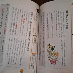 マドンナ古文単語230の画像