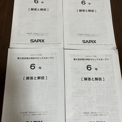 6年）合格力判定✖️4回