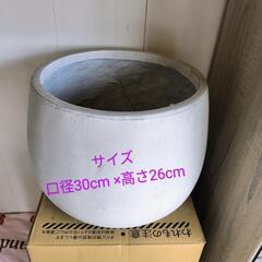 軽量 グレーセメント風 球形 鉢カバーの画像