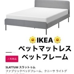 【人気商品】IKEA SLATTUM スラットゥム ベッドフレー...