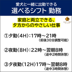 小型犬同伴で手当あり・髪色自由・ネイル可・LGBTQフレンドリー•スタッフ募集【掛持ちOK・学歴不問・経験不問】｜障がい者グループホームの画像