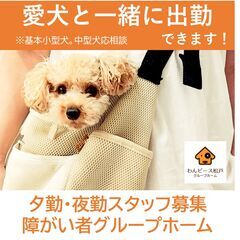 夕勤/夜勤 髪色自由・ネイルOK・ LGBTQフレンドリー・ペ...
