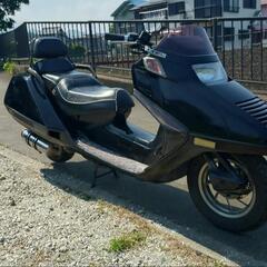 ホンダ　フュージョンX　20番台　　59000キロの画像