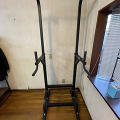 【貰ってください】懸垂機