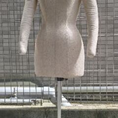 トルソー(ディスプレイ、撮影用)