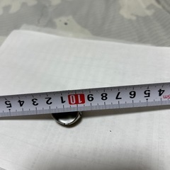 スカルリングの画像