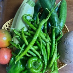夏野菜