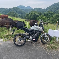 ゆるく走りたい