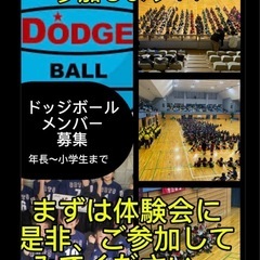 春日井市　年長〜小学生　ドッジボールクラブメンバー募集