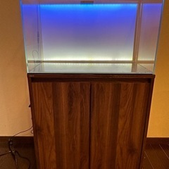 水槽ADA60センチ