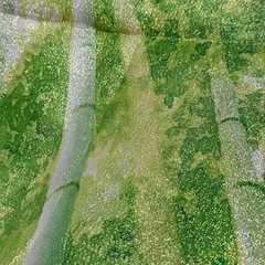 (お話中)のれん(竹)の画像