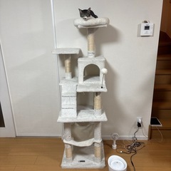 キャットタワー 