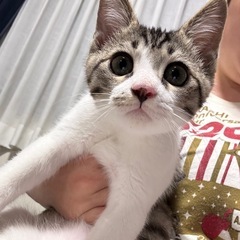 やんちゃで人慣れ抜群な男の子