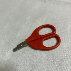 うさぎ　飼育グッズ4点の画像