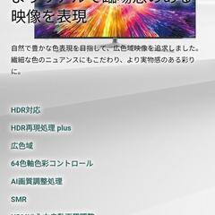 ハイセンス 65型 65U7E 大型液晶テレビ 画面不良?の画像