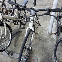 cannondale quick3 ホワイト クロスバイク 早め希望