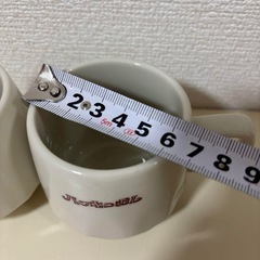バッキンガム　カタカナ　文字入り　平成レトロ　可愛い　ペア マグカップ　２つ　セット　まとめ売り　まとめての画像