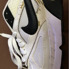 NIKEスニーカー　エアーマックスイヴォ　サイズ27の画像