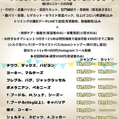 🐶【月に10組限定】出張トリミング 半額キャンペーン実施中✨《結城市・小山市周辺》 − 茨城県